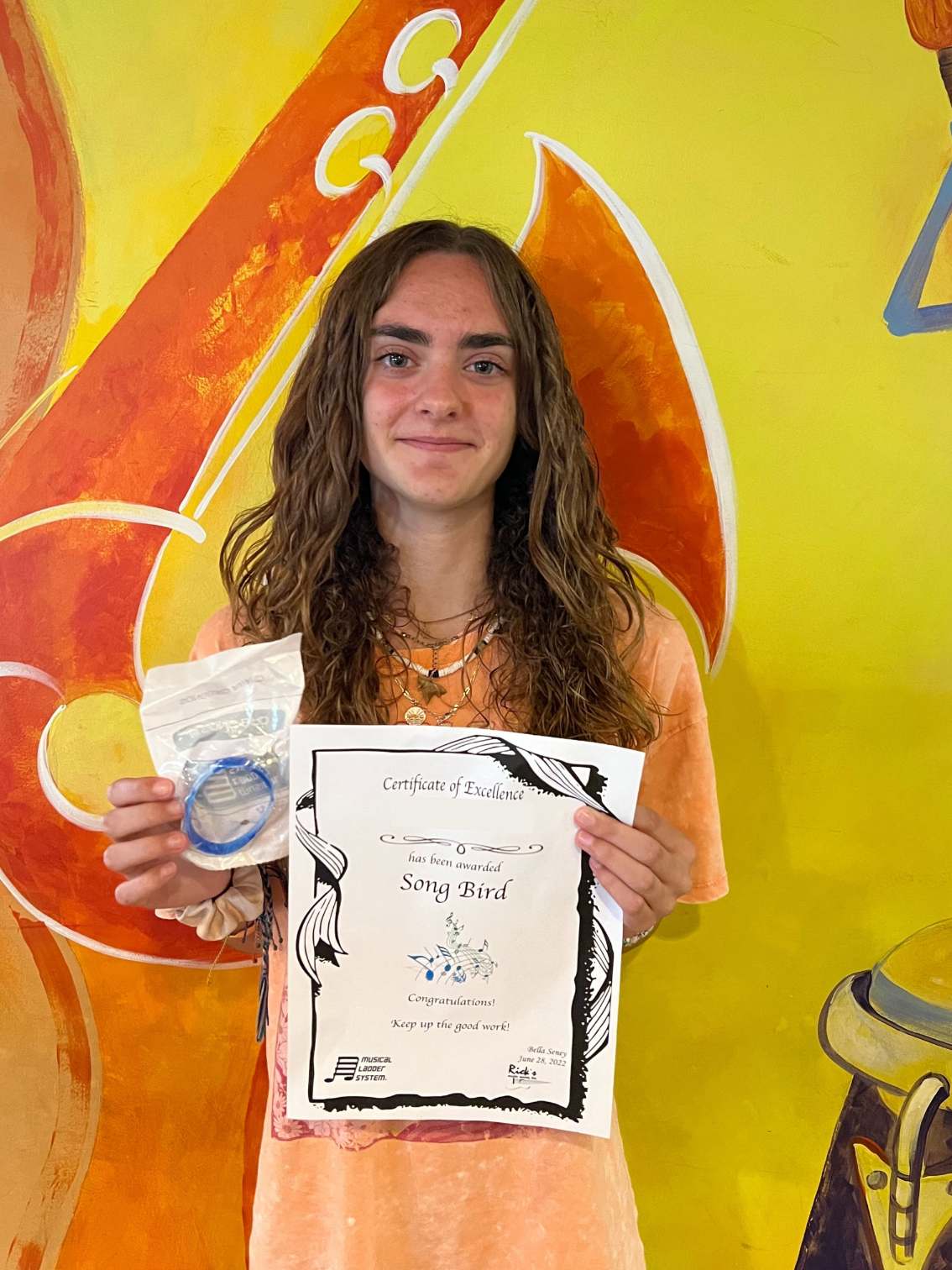 Music Ladder System®